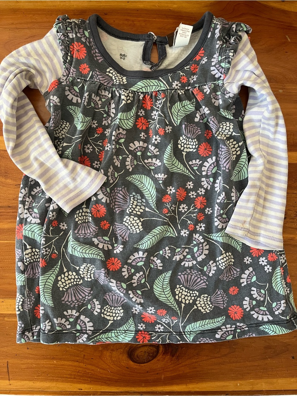 Tea Collection Top Floral Long Sleeved 18-24 months